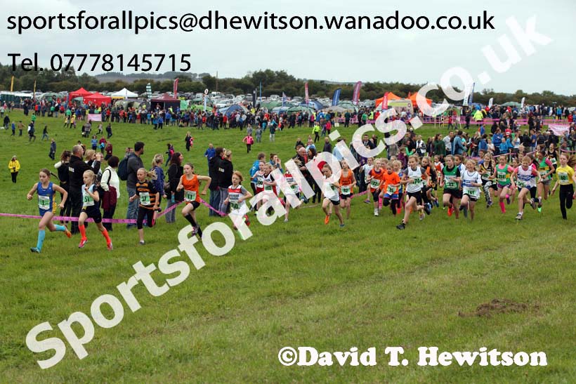 Girls under-11s, Start Fitness North Eastern Harrier League, Tanfield, County Durham. Photo: David T. Hewitson/Sports for All Pics